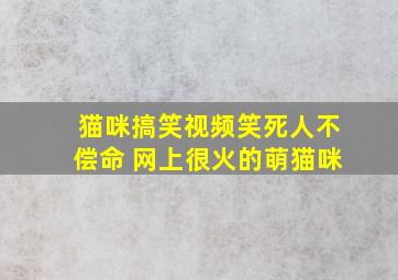 猫咪搞笑视频笑死人不偿命 网上很火的萌猫咪